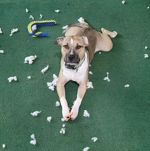 Meet your Posher, Kristie